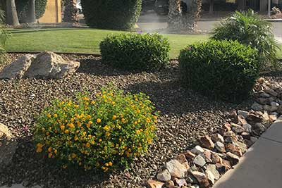 Landscaping Maintenance